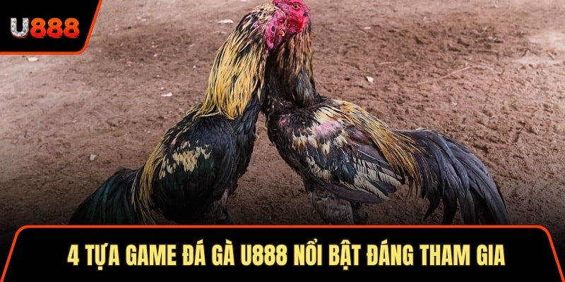 4 Tựa game đá gà U888 nổi bật đáng tham gia