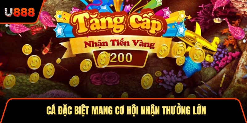  Cá đặc biệt mang cơ hội nhận thưởng lớn