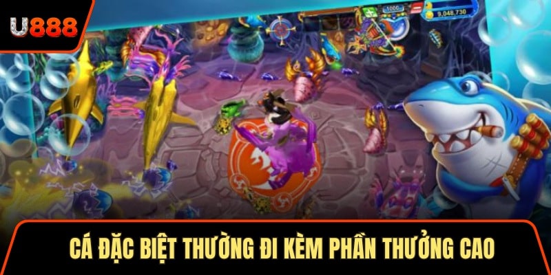 Soi Cầu Thần Tài 3 Cách Áp Dụng Hiệu Quả Nhất 2025 2 Cá đặc biệt thường đi kèm phần thưởng cao