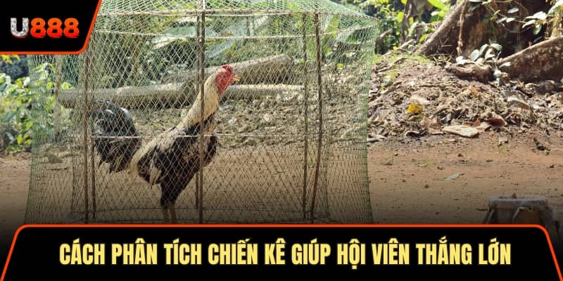 Soi Cầu Thần Tài 3 Cách Áp Dụng Hiệu Quả Nhất 2025 2 Cách phân tích chiến kê giúp hội viên thắng lớn khi đặt cược