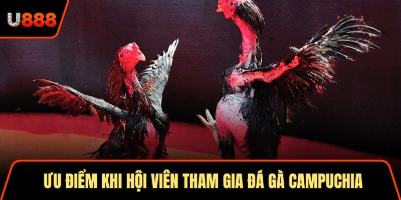 Soi Cầu Thần Tài 3 Cách Áp Dụng Hiệu Quả Nhất 2025 3 Ưu điểm khi hội viên tham gia đá gà campuchia